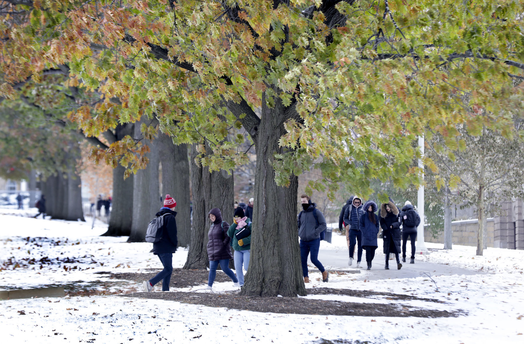 Cold Weather